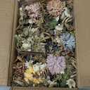 LUEUR 6PCS Artificial Fall Flowers with Ceramic Vase Mini Fake Flowers in Assorted Colors Faux Autumn Floral Arrangement, Farmhouse Decor, Table Centerpiece, Fall Decorations for Home, Office