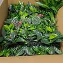 ODTORY Artificial Grass Boxwood Hedges Wall Panels: 40" x 40" (11.5 sqft) UV-Anti Faux Greenery Fake Ivy Leaves Privacy Fence Screen Backdrop for Garden Covering Privacy, Outdoor Indoor Decor