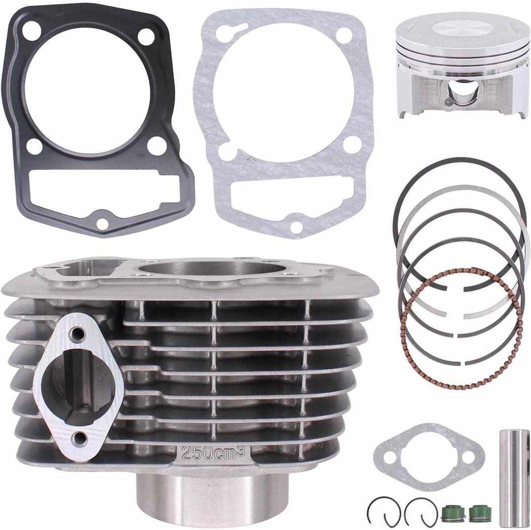 ApplianPar Cylinder and Piston 65.5mm Rings Gaskets Set for Honda SL230 ATC200X XL200 XR200 ATC200 250cc