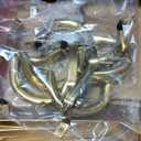 ALSO GO Chafing Dish Buffet Set 9QT 4 Pack, Gold Chafing Dishes for Buffet with 4 Serving Tongs, Buffet Set Full Size Large Serving Chafing Dishes, Warming Food Tray for Catering & New Year Parties