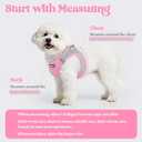 rabbitgoo Dog Harness Small Sized and Leash Set, Step in Soft Light Puppy Vest, Breathable Mesh Pet Harness, Reflective for Safe Easy Walking, Pink & Gray XS