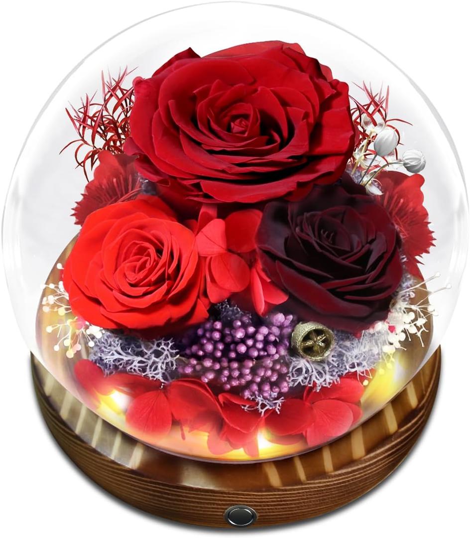 Preserved Flower Red Rose in Glass, Eternal Roses Gifts for Women, Mom, Girlfriend, Wife, Her on Christmas, Valentine's Day, Mother's Day, Birthday, Anniversary
