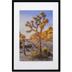 Art Emotion Black 16x24 Picture Frame  Displays 12x18 Photos with Mat or 16x24 Without Mat, Wall Hanging Photo Frame, 1-Pack