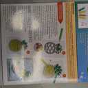 3 x Creativity for Kids Window Art Fun Fruits - Paint and Decorate 2 Suncatchers, Create Your Own Window Art for Kids