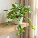 Artificial Plants Faux Pothos with Plastic White Pot Artificial Potted Plant for Home Office Bedroom Indoor Outdoor Decor 1 Pack(Light Green)