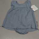 Little Planet by Carter's Baby-Girls Dress Made with Organic Cotton (Newborn, Blue Grey)