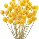 Uieke 30Pcs Natural Dried Flowers Dried Craspedia Billy Balls Flowers Billy Buttons 16" Yellow Flowers Arrangements Bouquet for Boho Farmhouse Wedding Home Vase Party DIY Decor