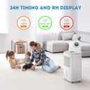 Dehumidifier for Basement, Home Dehumidifiers with Drain Hose for Large Room Bathroom, Auto Drain or Manual Drainage (31 pint)