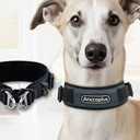 AnccoPlus Comfort Walking Dog Collar Size L Color Grey