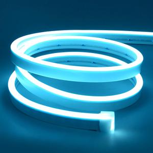 Lamomo LED Neon Lights, 16.4ft Ice Blue LED Strip Light, 12V 0.39In/Cut Silicone Waterproof Neon Rope Light for Bedroom Indoor Outdoor Decoration Power Adapter not Included, Ice Blue