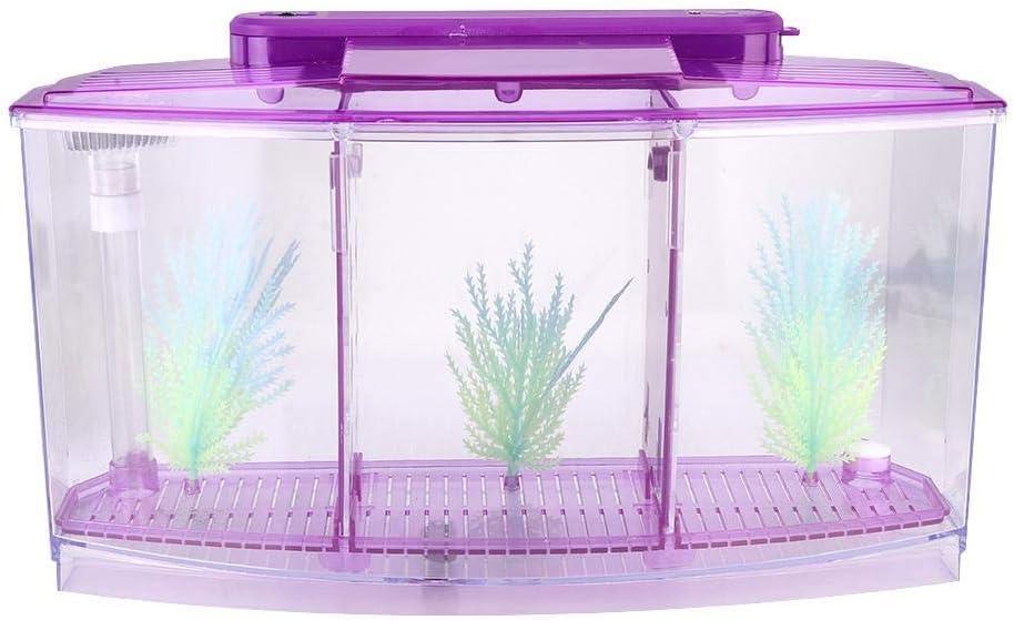 Breeding Fish , Adjustable Light Mini Fish , Three Areas for Small Fishes Betta()
