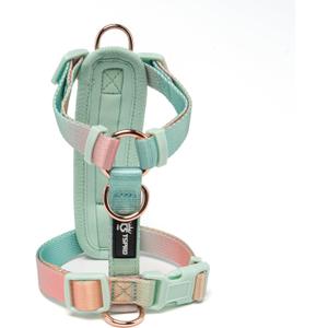 TSPRO Lightweight Dog Vest Harness Adjustable Harness Breathable Durable Quick Release Dog Harness for Small Dog Walking (Yellow-Green Gradient, Small)