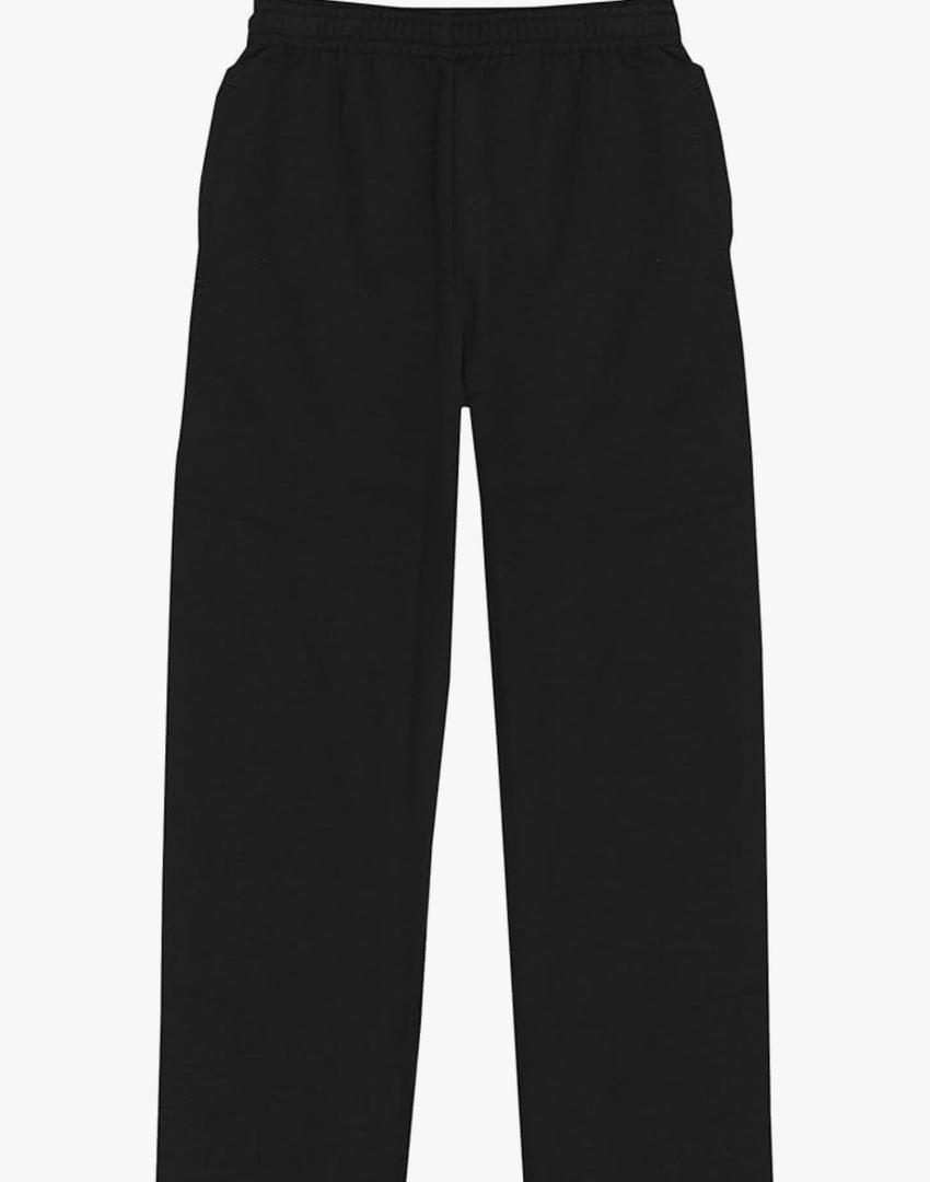 Hanes Men's Ecosmart Best Sweatpants, Athletic Lounge Pants, L