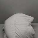 HYLEORY All-Season King Size Bed Comforter - Cooling Goose Down Alternative Quilted Duvet Insert with Corner Tabs - Winter Warm - Machine Washable - White