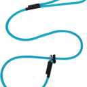 Slip Lead Dog Leash  5/16 Inch Nylon Rope No Pull Training Leash with Stopper, Slip Rope for Walking & Correction, 4FT/5FT/6FT Control Lead for Medium Large Dogs(Sky Blue, 4 FT)