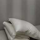 20 x 20 Pillow Inserts Set of 4 - Premium Soft and Fluffy 20 Inch Large Sofa Decorative White Square Throw Pillow Inserts Stuffing for Living Room Couch and Bedroom Interior Cushions