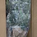 6 FT Pre-Lit Artificial Christmas Tree with 250 Warm White & Multi Lights - 1000 Branch Tips Hinged Spruce for Indoor Outdoor Home Christmas Decorations