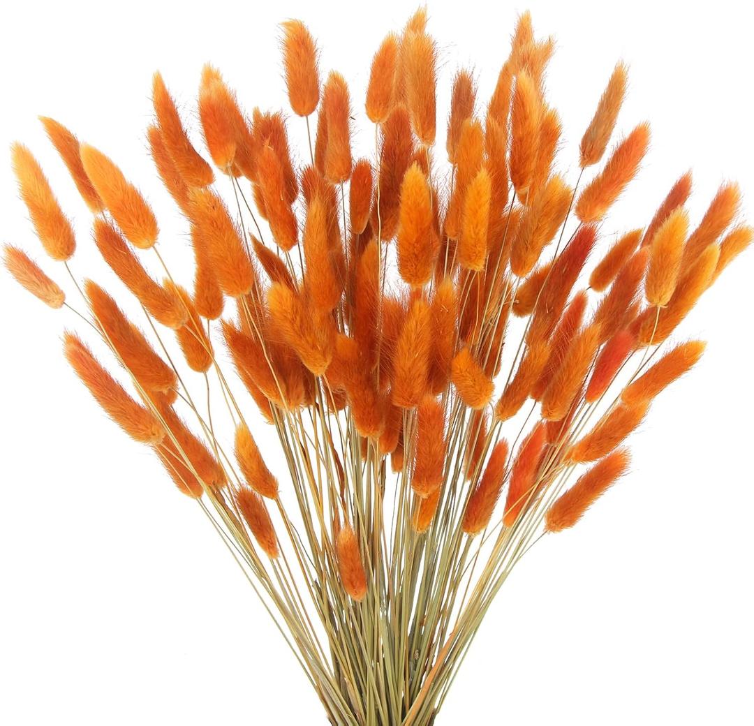 CISDUEO 120pcs Dried Bunny Tails Flowers Orange Lagurus Ovatus Tail Dried Flowers Pampas Grass Natural Dried Floral Arrangement for Boho Fall Decor Autumn Wedding DIY Farmhouse Christmas Halloween
