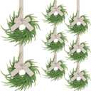 8 Pack Small Christmas Norfolk Wreaths 7.8" Mini Wreaths for Kitchen Cabinets with Bow Ribbon Real Touch Norfolk Pine Decorative Hanging Greenery for Xmas Window Door Farmhouse Decor (Linen Bow)