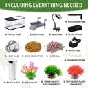 (Tank + Light +Pump + Filter Balls) Turtle Tank Kit, Turtle Tank Starter Kit,Bottom Drainage, Multi-Function Areas for Turtles, Crabs,Fishes, Amphibians,Reptiles. (15.75 x 8.64 x 8.64 Inch)