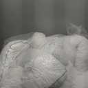 Twin Size Mattress Topper