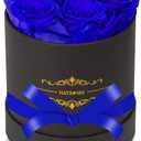 NATROSES 7 Piece Preserved Roses in a Box, Preserved Flowers for Birthday, Flower Gifts for Mothers Day (Royal Blue) (Medium)