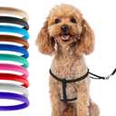 CollarDirect Rolled Leather Dog Harness Small Puppy Step-in Leash Set for Walking (Black, XS)