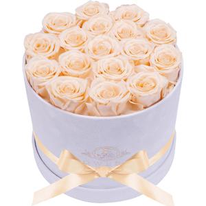 17 Flowers in a Luxury Suede Box, Birthday Gifts for Women, Preserved Flowers, Mothers Day Roses Gift for Mom, Champagne