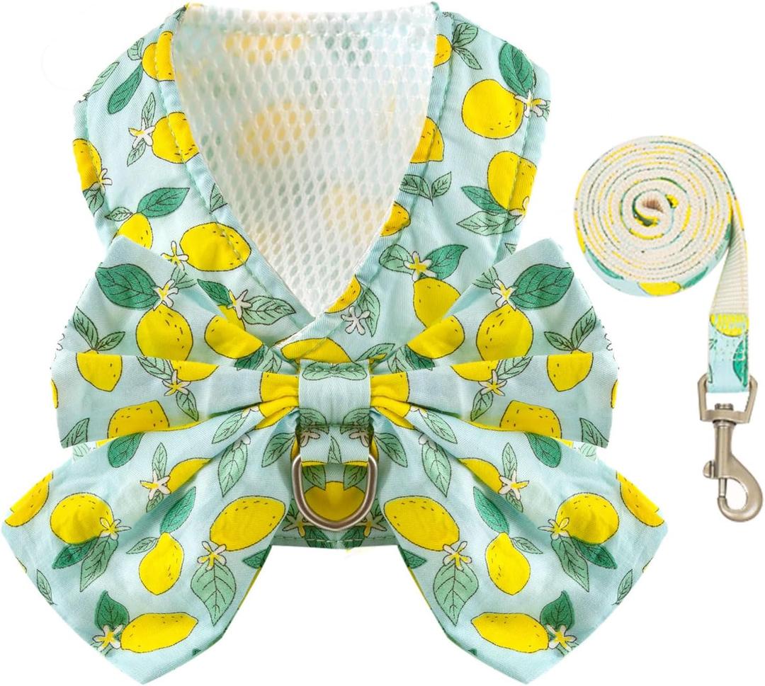 BAEJMJK Dog Harness and Leash Set with Bow Knot No Pull Pet Daisy Floral Harness with D-Ring Soft Mesh Dog Harness Vest Set Escape Proof Princess Puppy Harness for Small Girl Dogs CatsGreen M