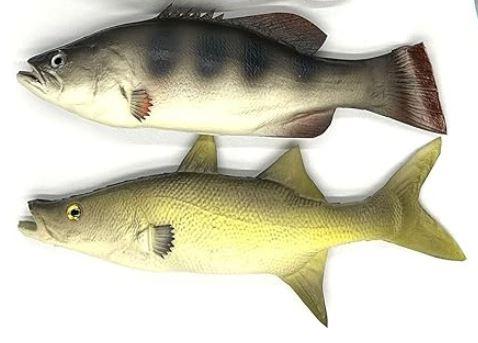 Nexboraque 2 Pack Fake Fish, 11 Inch Artificial Fish Models Simulated Pretend Realistic Fish Lifelike Sea Fish for Party Display, Kitchen Decor, Photography Props