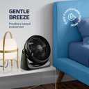 NEXAIR 7" Air Circulator Portable Turbo Fan, 3 Speed Adjustable Desk fan Powers Cool Air-Waves Up To 25ft, Quiet Operating Fan For Bedroom, Made Of Durable Material, Great For Office & Living Room