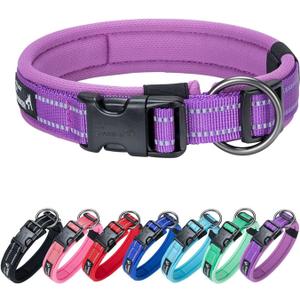 EXCELLENT ELITE SPANKER Reflective Dog Collar Classic Soft Padded Breathable Nylon Adjustable Pet Collar with Quick Release Buckle for Boy Girl Male Female Dogs Training(Purple-L)