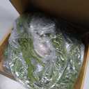 LITBLOOM Norfolk Pine Garland with Lights 6FT Battery Operated or USB Powered, Lighted Garland with Timer 110 LED Fairy Lights for Fireplace, Table Christmas Decoration