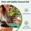 ZeeDix 50 Pcs 30mm Organic Coco Coir Pellets for Seed Starter, Compressed Coconut Coir Potting Soil for Planting, Garden Soil for Indoor Outdoor Plants Bonsai Herbs Flowers Vegetables