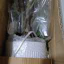 Faux Hydrangea Tree 2 Pack, 3FT White Artificial Flowering Plant