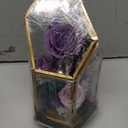 Gifts for Mom,Forever Preserved Flowers Roses in Glass Dome,Fresh Flowers for Delivery Mothers Day Roses Gifts for Wife Mom Women Grandma from Daughter/Purple Rose
