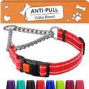 CollarDirect Martingale Dog Collar with Stainless Steel Chain and Quick Release Buckle - Reflective Collar for Large, Medium, Small Dogs - Red, Small (Neck Size 12"-15")
