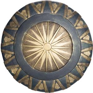 Rubie's mens Wonder Woman Plastic Shield (Multi-colored)