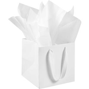 AZOWA White Square Gift Bags with Tissue - 6 Inch White Square Paper Bags with Handles for Party Favors (10 PCS, 6x6x6 in)