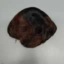 Short Layered Wavy Curly Wig with Bangs Brown Highlights Human Hair Pixie Cut Wig for Black Women Mixed Brown Color F1B/33#