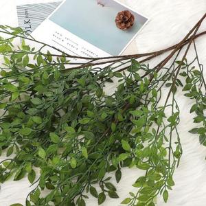 Plant Green 3pcs