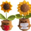 Emotional Support Crochet Sunflower, 2 Pcs Crocheted Plush Plant Flowers, Handmade Knitted Flowers Doll, Positive Sunflowers Plant Decor with Positive Card, Encouraging Cheer Up Flower Gifts for Women (Loving Heart)