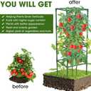 3 Pack Tomato Cages,Square Tomato Plant Stakes Support Cages Trellis for Garden Climbing Vegetables Flowers Fruits,Extra Bold (green)
