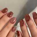 4 x Short Press on Nails Square Fake Nails with Cat Eye Designs Brown Nails Press ons Glossy Glue on Nails Fall Acrylic Nails Daily Wear Simple False Nails Artificial Stick on Nails for Women 24Pcs