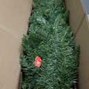 6FT Pre-lit Pencil Christmas Tree Spruce with Remote Control, 250 Warm White Multi-Color Lights, Artificial Hinged/Slim/Skinny/Feel Real/Realistic for Home, Holiday Decoration Dual Color LED 6 Feet (Green)