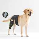 Dog Leg Braces for Back Leg- Dog ACL Brace for Torn and Back Hind Rear Legs ACL Tear, Dog Leg Brace for Hip Dysplasia, Dog Arthritis, Luxating Patella(Size M)