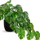 DILATATA Fake Plants Indoor 8 Inch Artificial Monstera Plant in Black Plastic Pot - Faux Potted Tropical Palm Plant for Home Aesthetic Decor Living Room Shelf Office