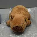 Heatable & Coolable Plushie, Microwave Heating Pad for Period Cramps, Cute Capybara Gifts for Girls & Boys, CAPYBARA with Flower