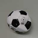 Champion Sports Retro Soccer Ball
