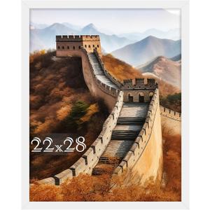 Picrit 22x28 Poster Frame, Picture Frame for Wall Mounting Display, White